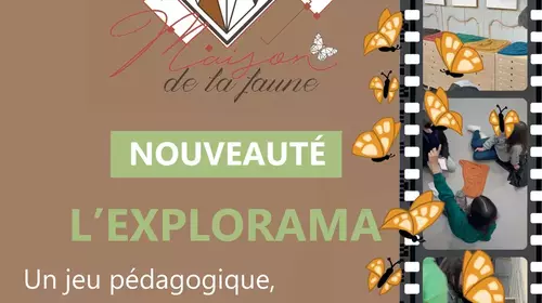 Explorama en famille